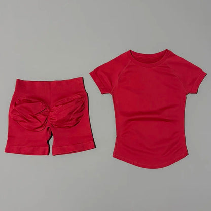 Vinho Tinto Cor Conjunto Fitness Feminino 2 Peças com Shorts e Camiseta