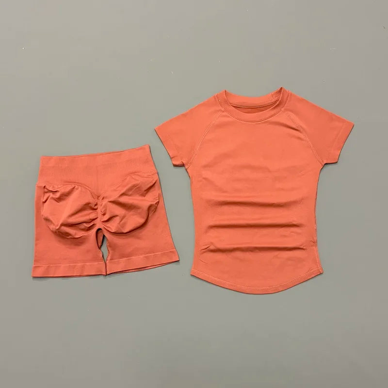 Cobre Roxo Cor Conjunto Fitness Feminino 2 Peças com Shorts e Camiseta